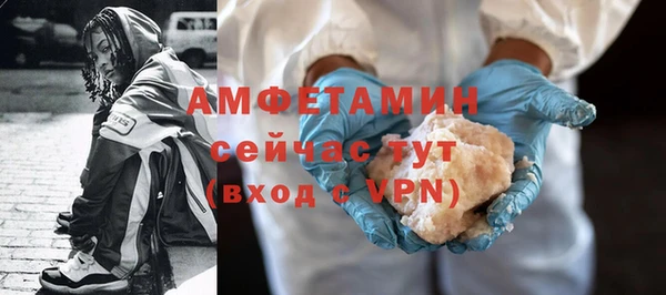 шишки Абаза