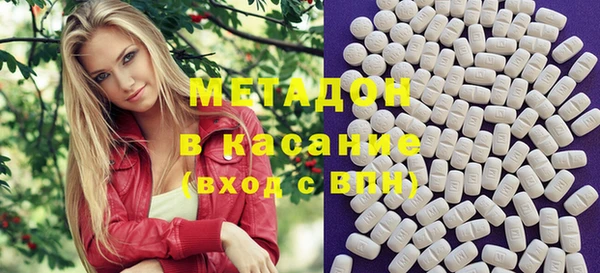 шишки Абаза