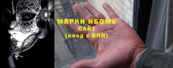 шишки Абаза