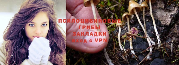 a pvp Абинск