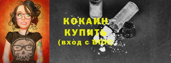 шишки Абаза