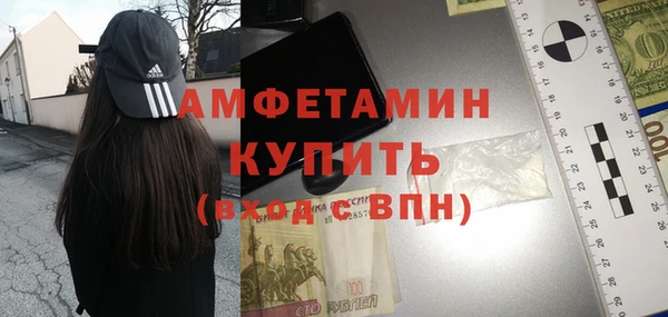 шишки Абаза