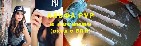 шишки Абаза