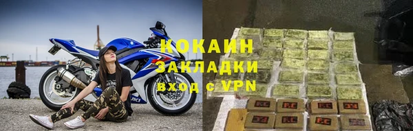 крисы Надым