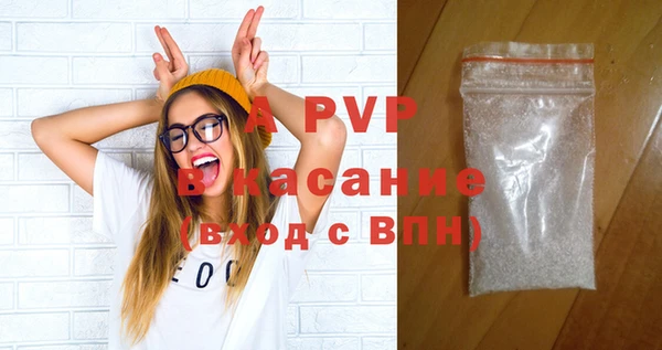 шишки Абаза