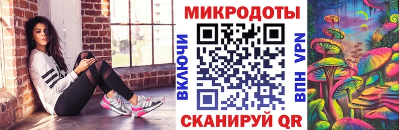 Псилоцибиновые грибы MAGIC MUSHROOMS  продажа наркотиков  Дербент 